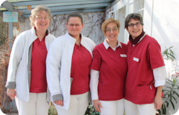 Die Mitarbeiterinnen